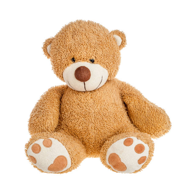 istock Teddy bear toy for kids, teddy bear sitting isolated on a white 1359028898