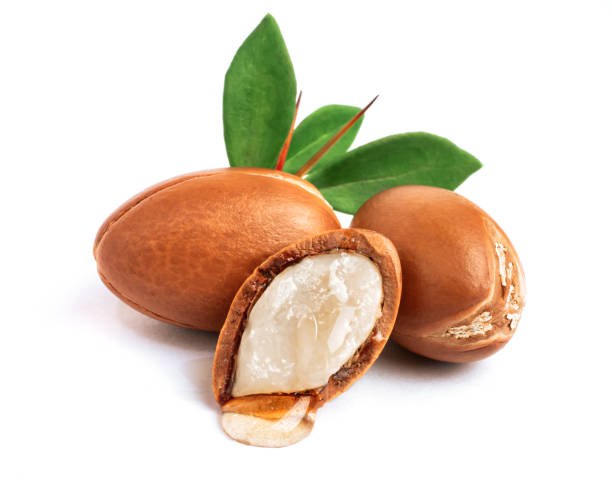 istock Three argan nuts with green leaves on an isolated white background. Chopped argan nut with a drop of oil. Whole and half Moroccan Argania Spinosa seeds for the production of oil 1359042255