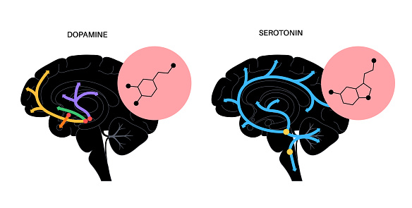 Dopamine and serotonin formula icon or logo. Monoamine neurotransmitter. Modulating mood, learning and memory processes. Motivational component of reward, motor control vector illustration