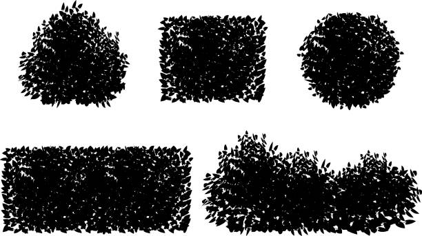 illustrations, cliparts, dessins animés et icônes de web - brise vent