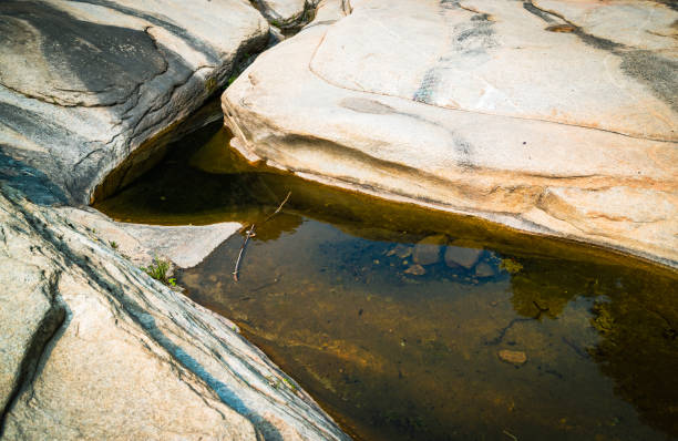 istock Virgin forests, natural scenery, valleys, jungles, rocks, streams, tree-lined trails 1359053585