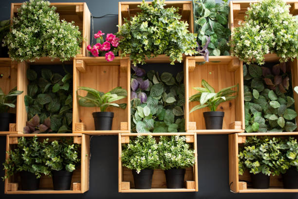 istock plant wood wall 1359058693