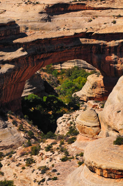 istock Sipapu Bridge, Natural Bridges National Monument 1359059918