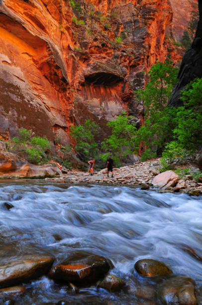 istock Hiking the Zion Narrows 1359060018