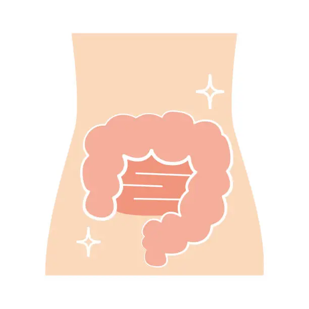 Vector illustration of Healthy and reasonably clean intestines