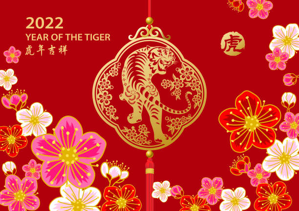 Plum Blossom of Tiger Year Celebrate Year of the Tiger 2022 with Chinese good luck charm on the plum blossom background, the Chinese phrase means wish you luck in the year of the tiger chinese language stock illustrations
