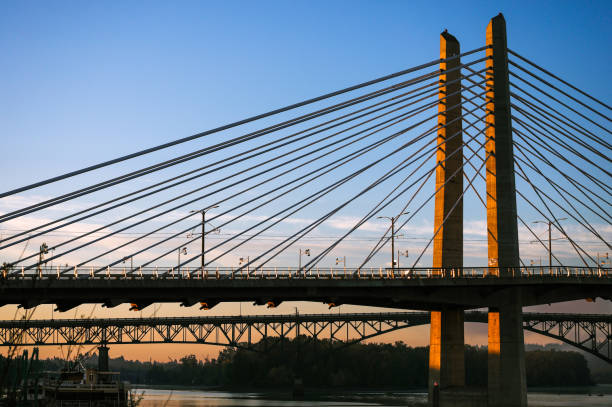 istock Suspension Bridge, Portland, Oregon 1359068188