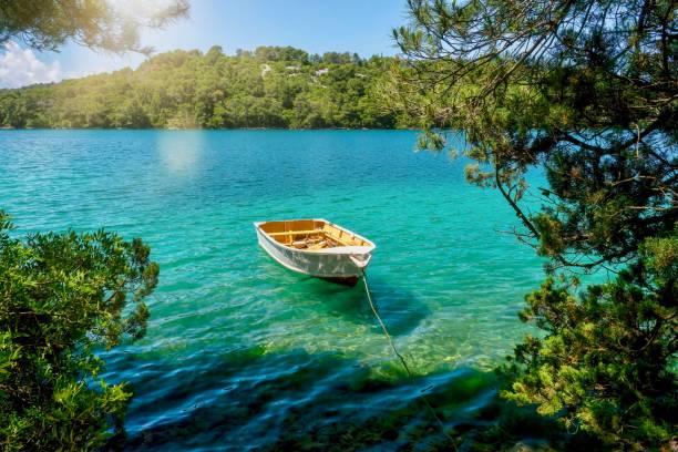 A picturesque summer scene, with a rowboat tied to the shore of Veliko Jezero Lake, in Mljet National Park, Croatia. The scene is framed by evergreen trees.