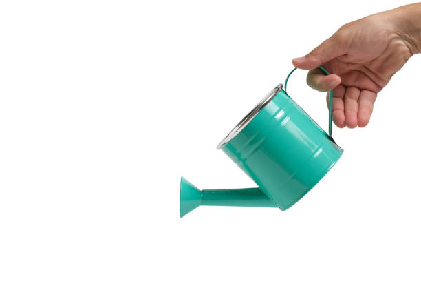 istock Green watering can in hand on a white background, isolate. 1359071105