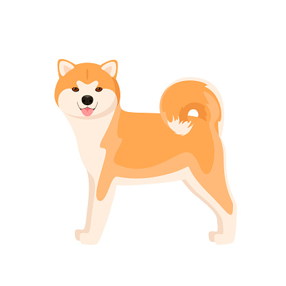 Funny Akita Stock Illustration - Download Image Now - Akita - Dog, Dog,  Happiness - iStock