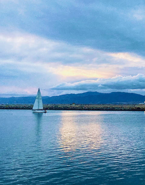 istock Sailboat in Marina 1359077742
