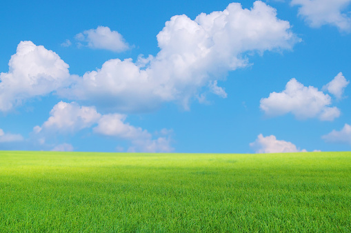 Colorful landscape with sky and green grass