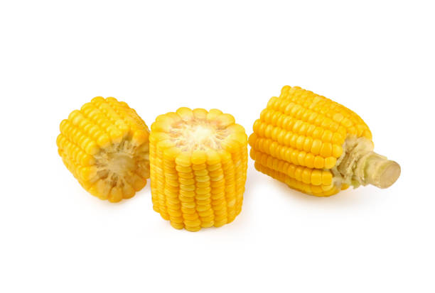 istock a piece of sweet corn isolated on a white background. 1359083160