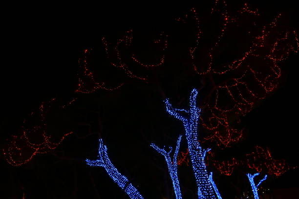 istock Christmas lights, Monaco, French Riviera 1359087186
