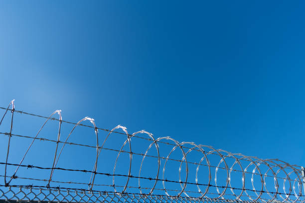 istock steel grating fence. coiled razor wire with its sharp steel barbs 1359087260