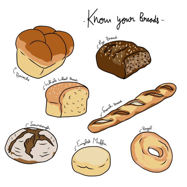 bildbanksillustrationer, clip art samt tecknat material och ikoner med know your breads chart vector illustration - cafe buns eating