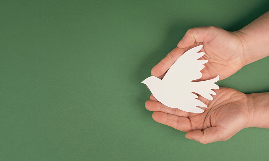 Holding a white dove in the hands, symbol of peace, paper cut out, copy space for text