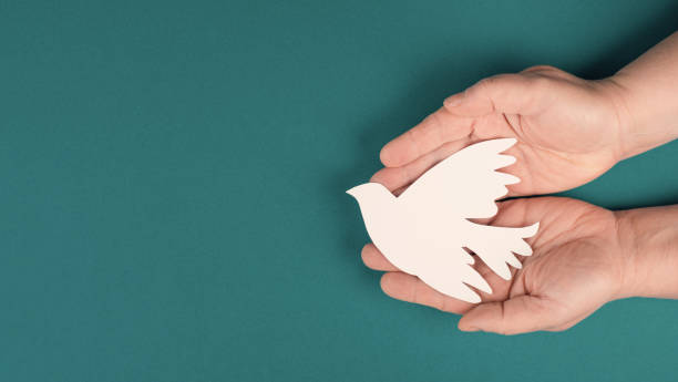 Holding a white dove in the hands, symbol of peace, paper cut out, copy space for text stock photo