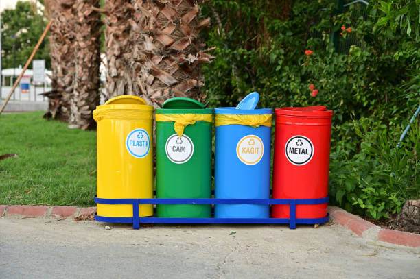 istock Multi-colored bins for separate waste collection in the hotel 1359091880