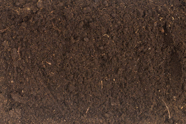 istock Soil for plant isolated on white background. 1359093748