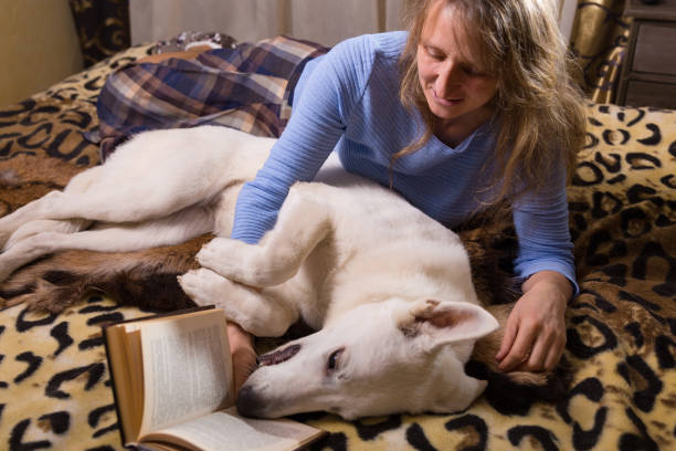 istock A woman lying on bed and reading a book 1359093930