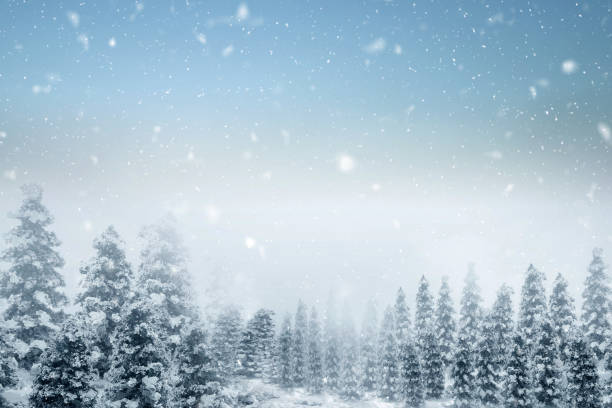 istock Snowy fir trees 1359095194