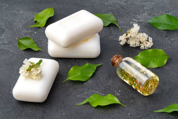 istock Skincare organic soap bars with plants extracts on gray surface 1359096270