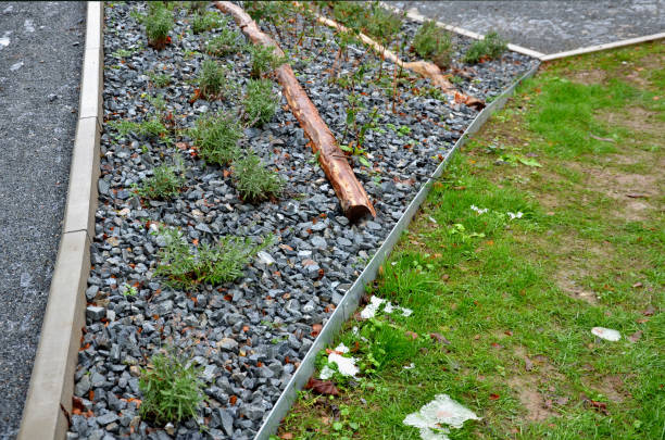 camino bordeado por bordillos de hormigón cubiertos con macizos de flores ornamentales de grava con lavanda recién plantada. pasarela gris en el césped del parque. empalizada de vigas horizontales control de erosión - lucha contra la erosión fotografías e imágenes de stock