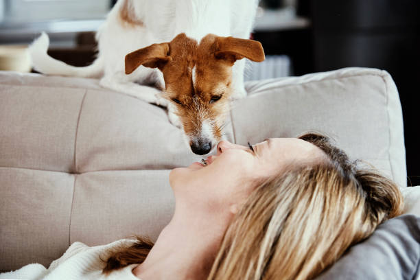 istock Woman relaxing on couch with her dog 1359096758