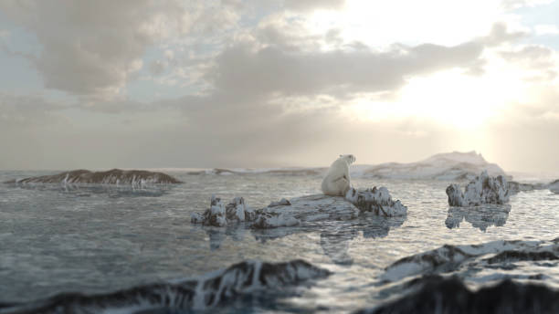 istock Polar bear sitting alone on a Rock with north pole landscape 1359100040