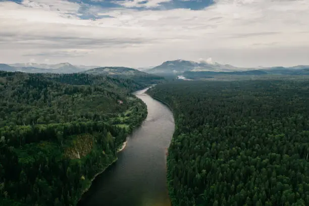 Drone view of the river flowing in the taiga forest