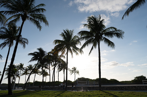 Miami, USA - April 15, 2021: Lummus park with promenade and volleyball courts on Ocean Drive in Florida.