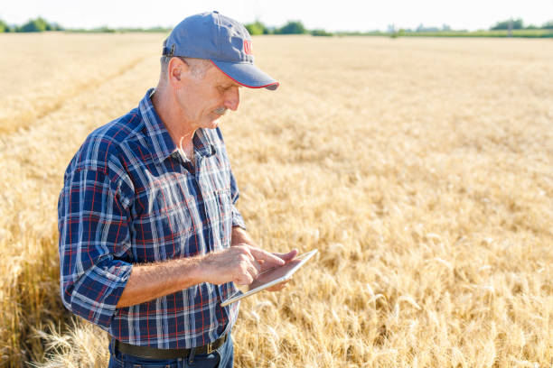 istock Senior man with a cap on his head looking at digital tablet 1359109531