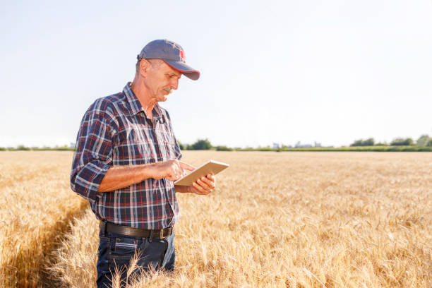 istock Old farmer standing in the field and using digital tablet 1359109635