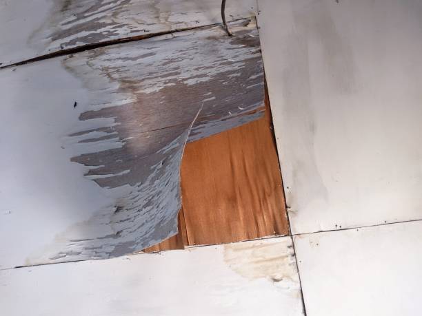 o telhado da casa - plasterboard ceiling plaster molding - fotografias e filmes do acervo