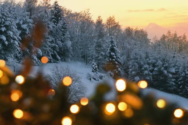 beautifil window view into the snowy landscape and forest within christmas time - christmas winter sunset snow imagens e fotografias de stock