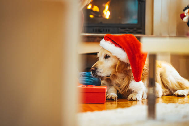istock Merry Christmas and Happy New Year! 1359116866