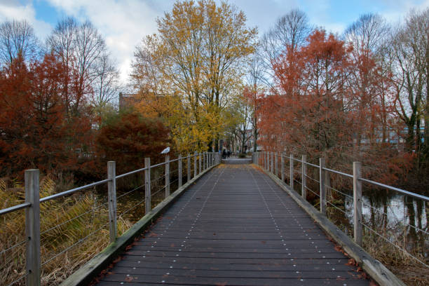 istock Elgar Vosbrug At Amsterdam The Netherlands 1359122938