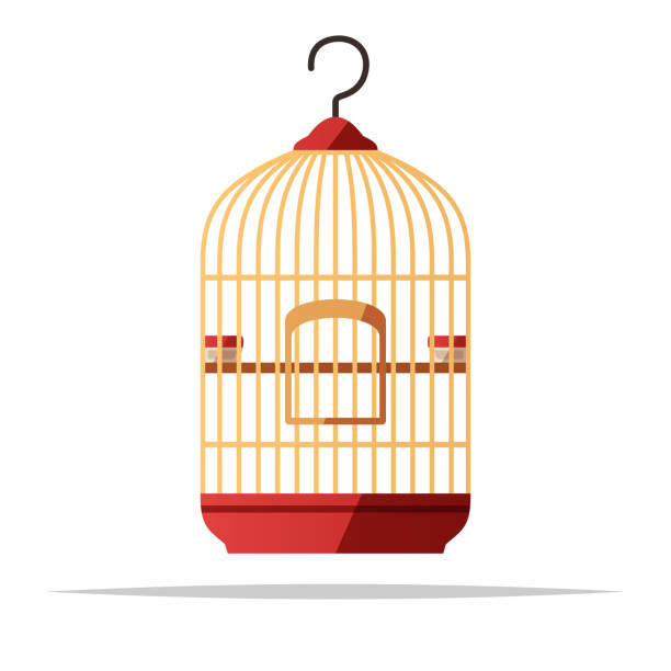 hängender vogelkäfig vektor isolierte illustration - birdcage stock-grafiken, -clipart, -cartoons und -symbole