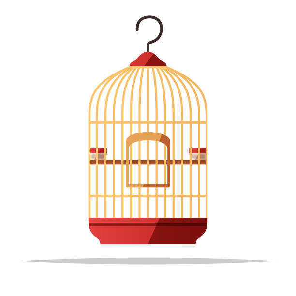 hanging bird cage vector isolated illustration - 鳥籠 幅插畫檔、美工圖案、卡通及圖標