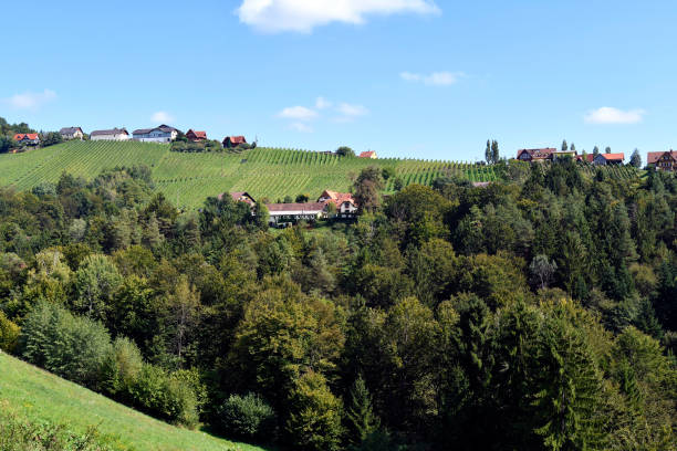 istock Austria, Styria, Kitzeck im Sausal 1359124476