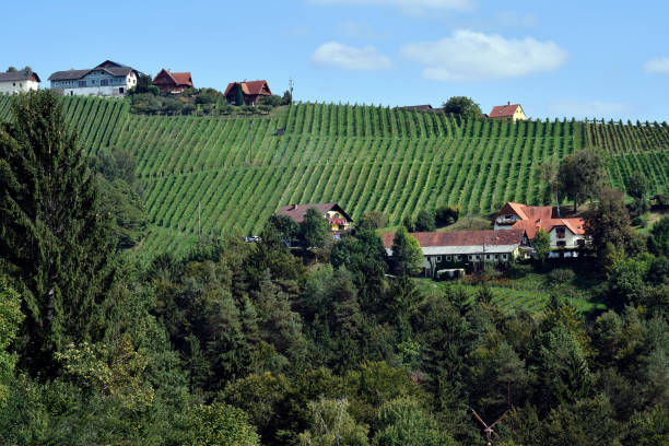 istock Austria, Styria, Kitzeck im Sausal 1359124517