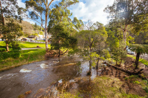 Yarra River View in Warburton Australia Afternoon light in autumn is cast over a flooded Yarra River after heavy storms in Warburton, Victoria,. Australia yarra river stock pictures, royalty-free photos & images