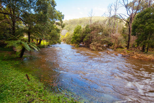 istock Yarra River View in Warburton Australia 1359132515