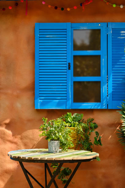 Window with flowers in pots.