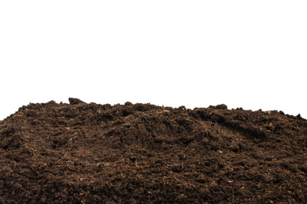 istock Soil for plant isolated on white background. 1359141386