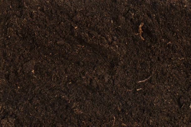 istock Soil for plant isolated on white background. 1359141403