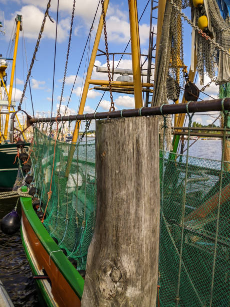istock Fishing boats in the harbor 1359144335