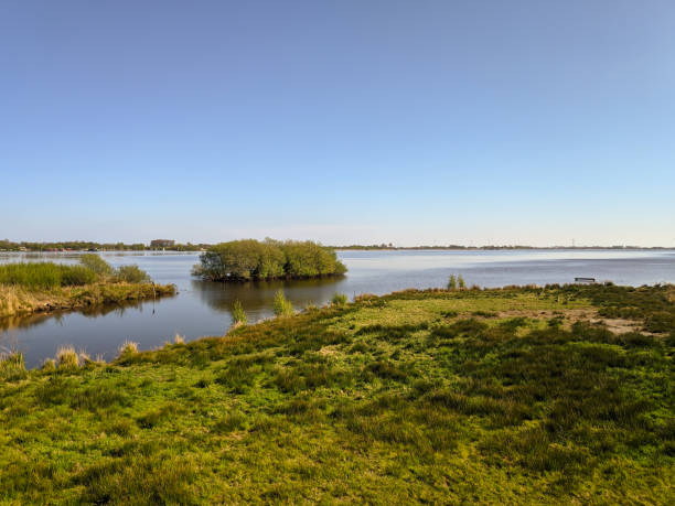 istock View of a lake 1359144536