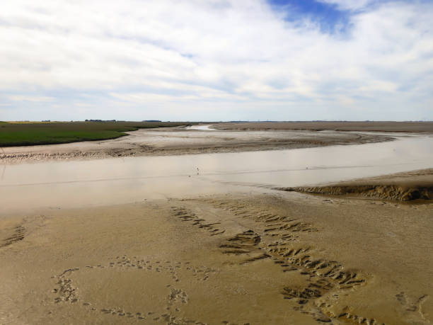 istock Wadden Sea at low tide 1359144599